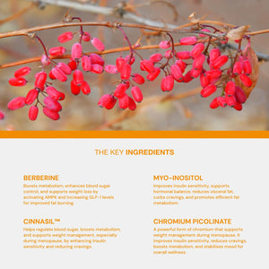 Better Metabolism The Better Menopause