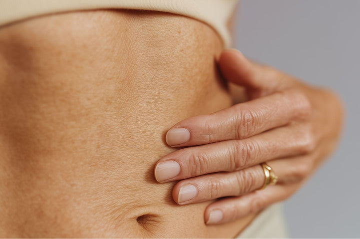 The Estrobolome: Why your gut–hormone connection matters in perimenopause