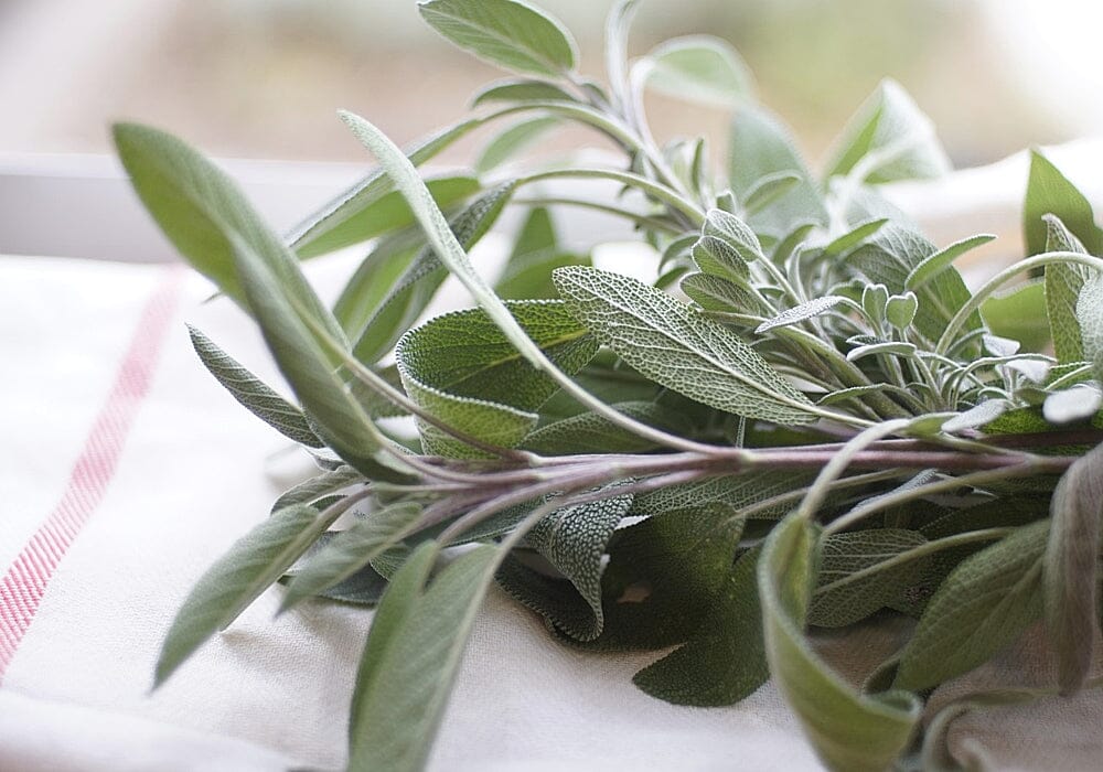 A bunch of sage leaves.