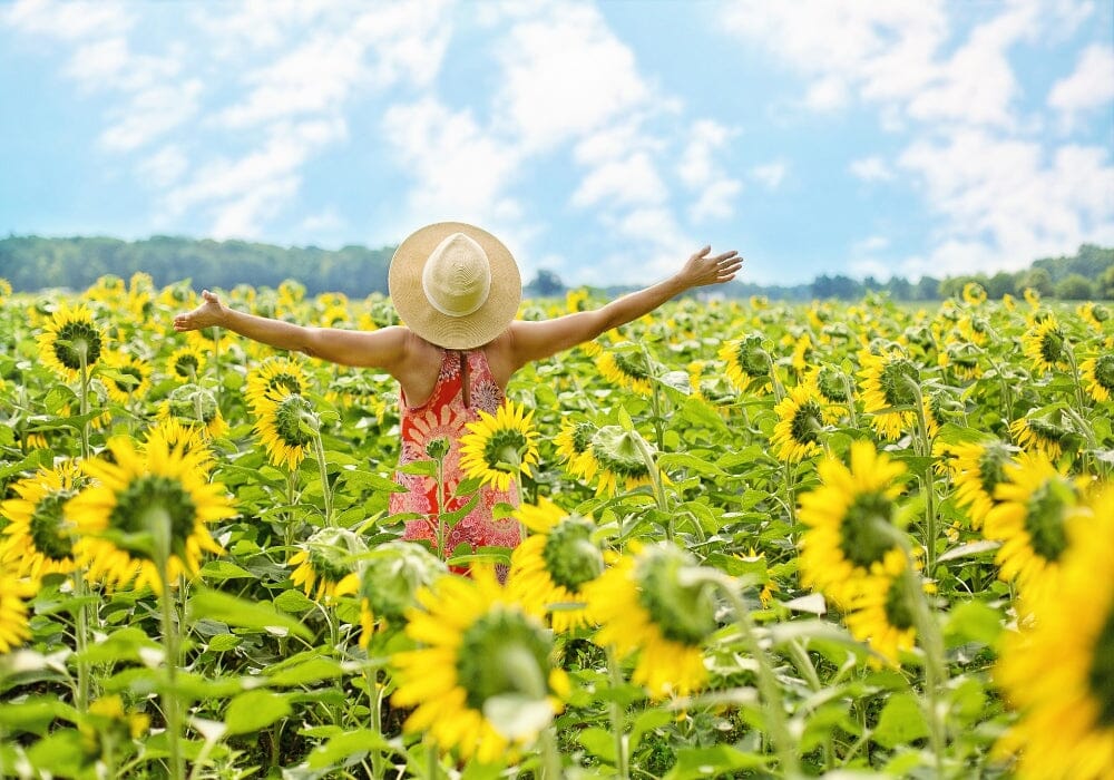 A woman standing in a field of sunflowers with her arms outstretched