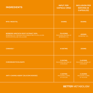 Better Metabolism The Better Menopause 
