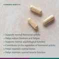 Vitality Bundle The Better Menopause 

