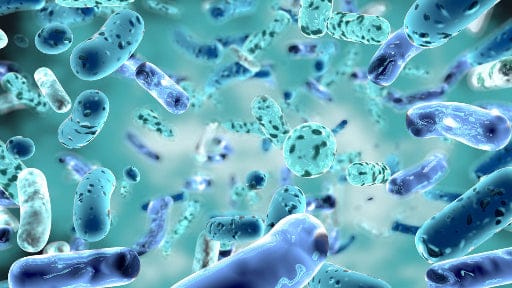 Microscopic view of bacteria on a blue background