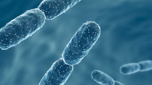 Microscopic view of bacteria on a blue background